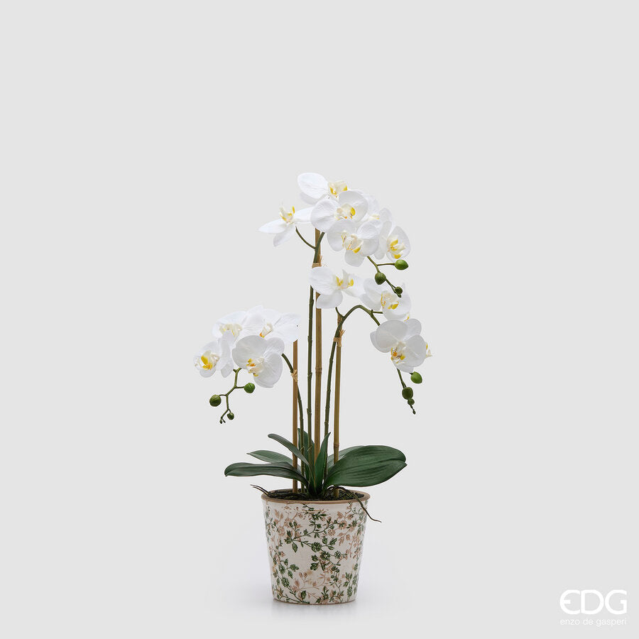 Orchidea Phalaenopsis 3 rami con bocciolo H. 65 cm - EDG Enzo De Gasperi