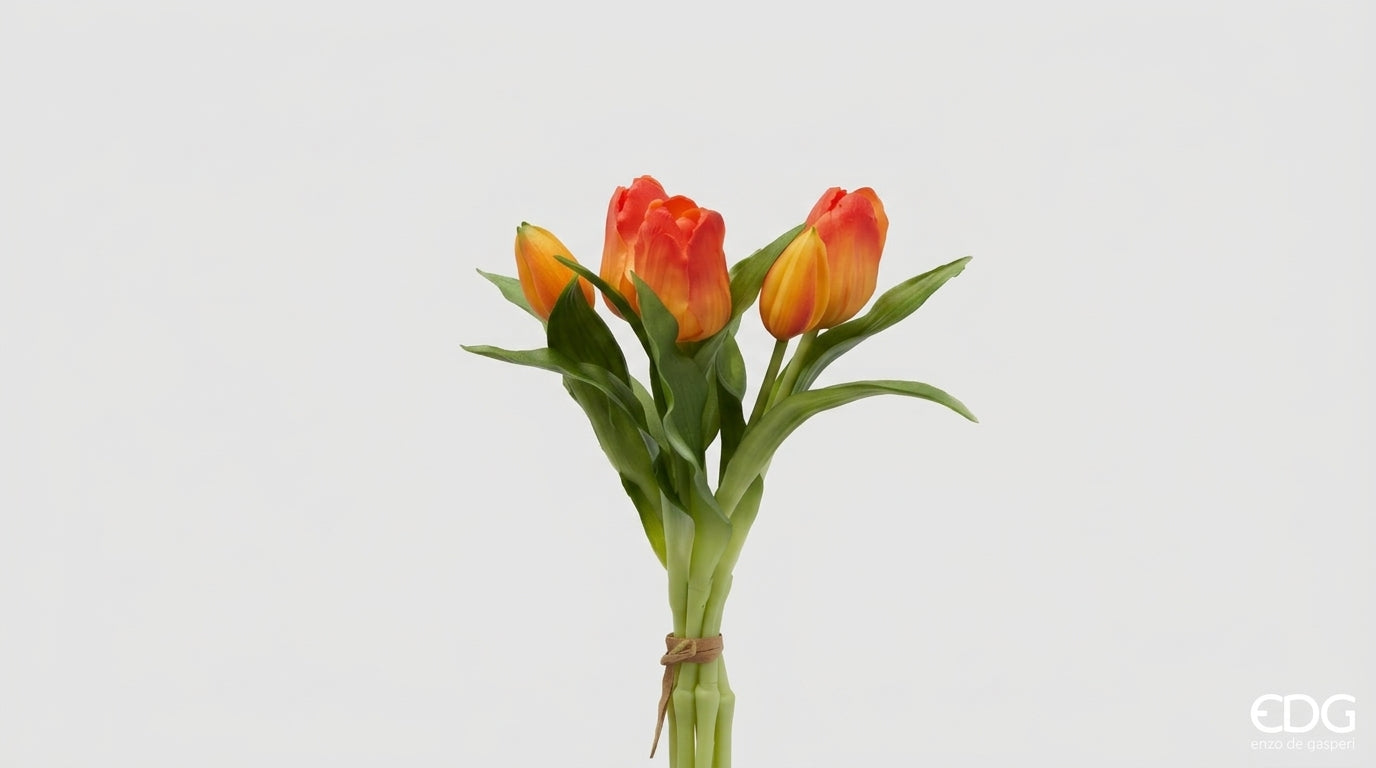 Tulipano Olis mazzo 5 pezzi - EDG Enzo De Gasperi
