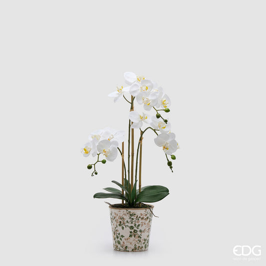 Orchidea Phalaenopsis 3 rami con bocciolo H. 65 cm - EDG Enzo De Gasperi