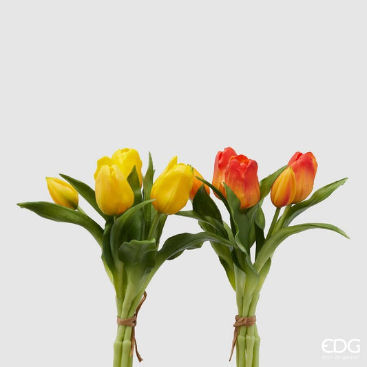 Tulipano Olis mazzo 5 pezzi - EDG Enzo De Gasperi