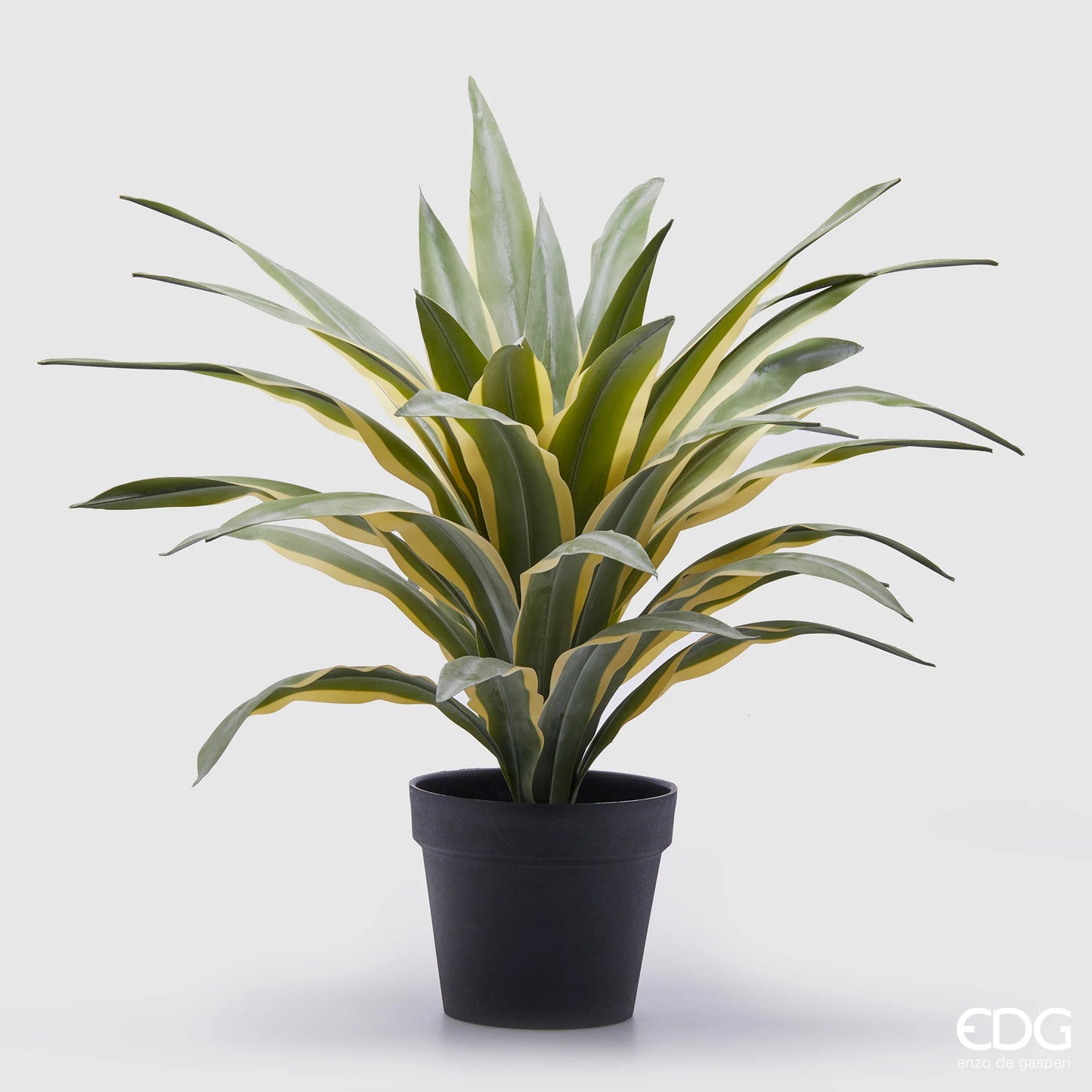 Pianta Artificiale Agave Succulent con Vaso in PVC - EDG Enzo De Gasperi