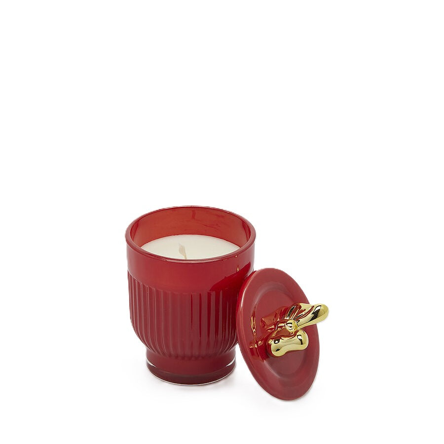 Candela di Natale Vaso a Righe Rosse con Fiocco Dorato · Berry Fruit · EDG Enzo De Gasperi