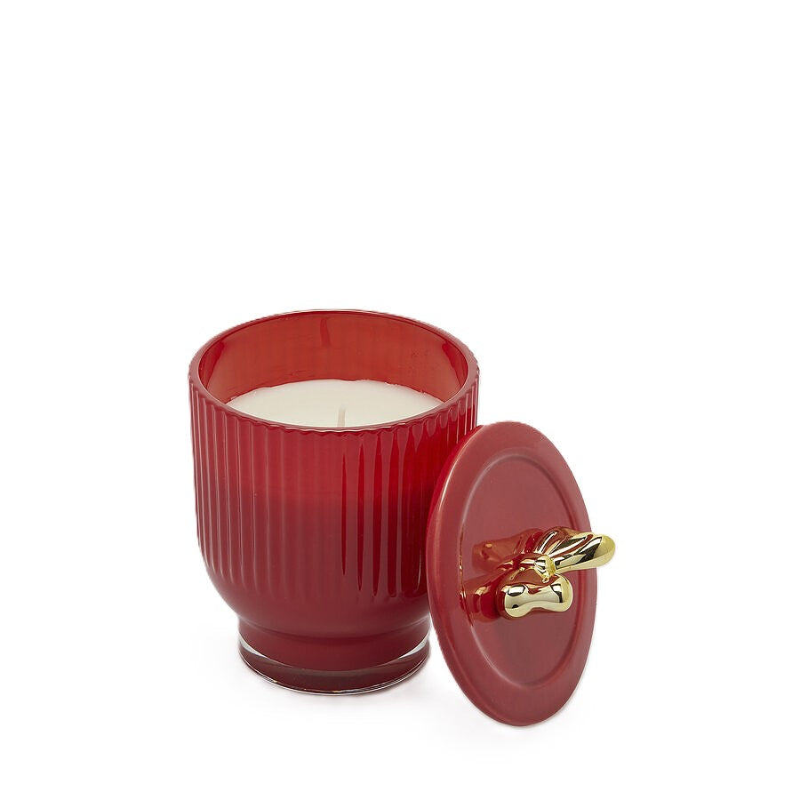 Candela di Natale Vaso a Righe Rosse con Fiocco Dorato · Berry Fruit · EDG Enzo De Gasperi