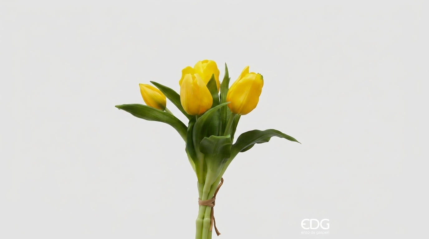Tulipano Olis mazzo 5 pezzi - EDG Enzo De Gasperi